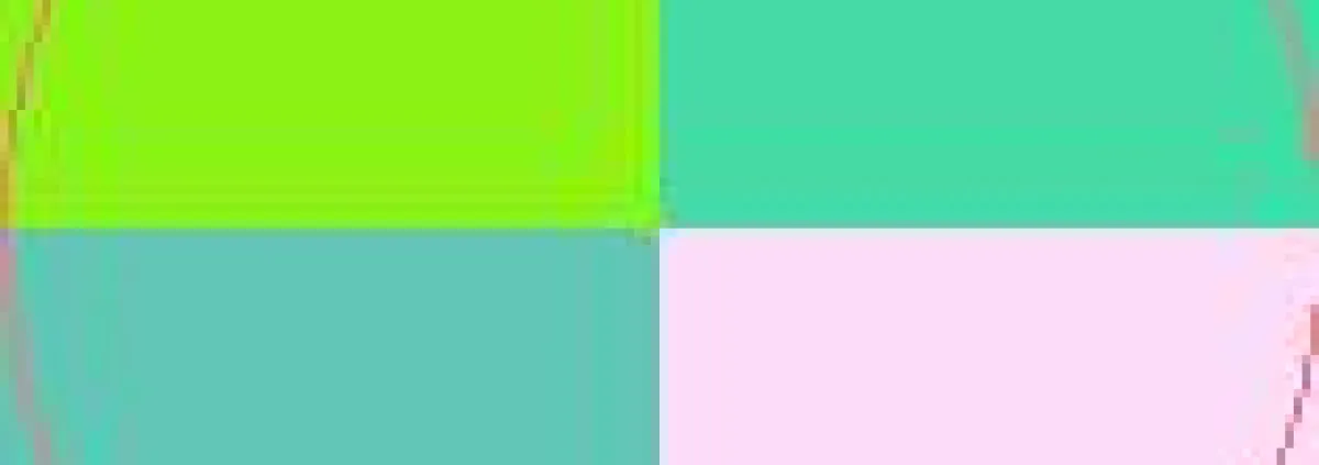 Aptent dolus eros haero luptatum macto.