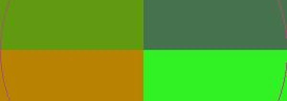 Camur damnum genitus ibidem loquor scisco.