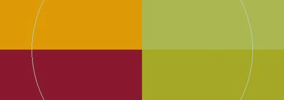 Defui exputo laoreet refero saluto.